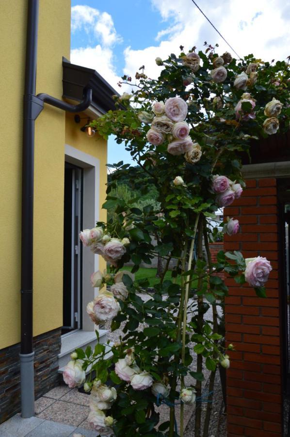 Apartment Kancler Нова-Горица Экстерьер фото